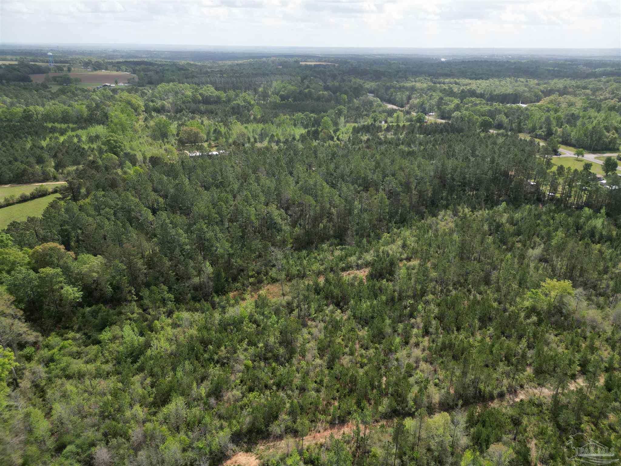 8200 Grimes Road Century, FL 32535 - Photo 13 of 18