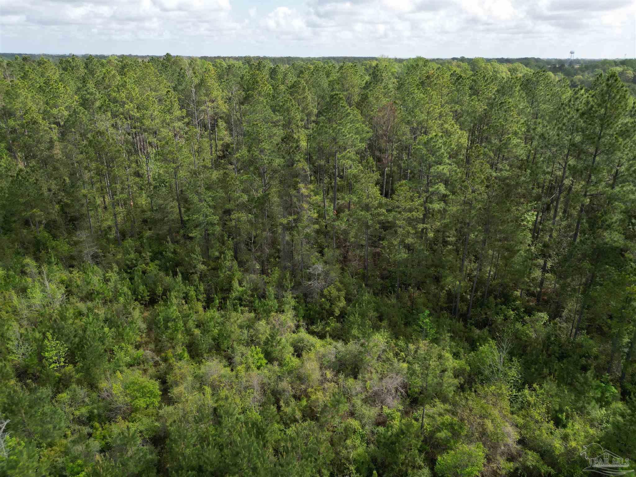 8200 Grimes Road Century, FL 32535 - Photo 14 of 18