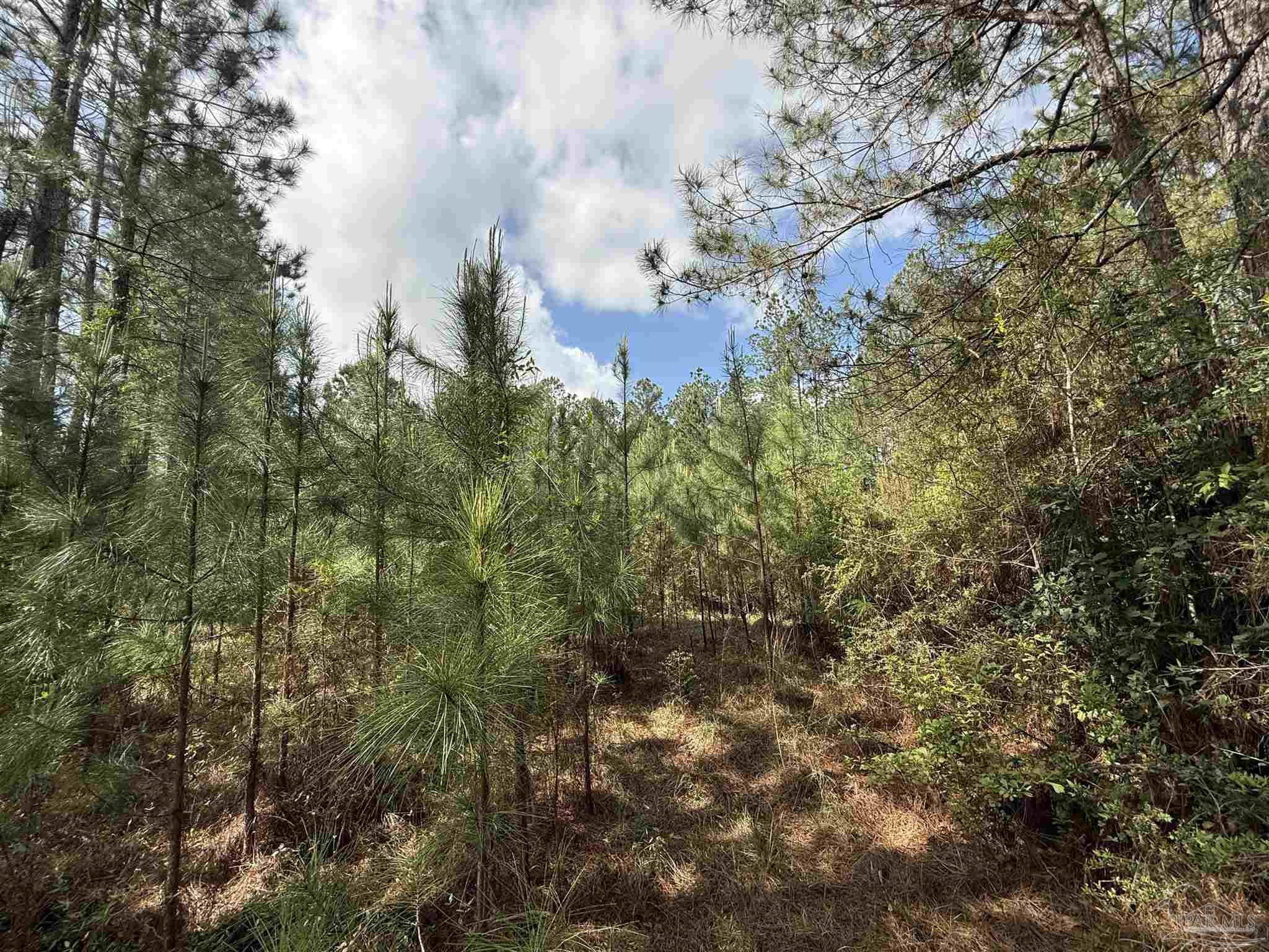 8200 Grimes Road Century, FL 32535 - Photo 15 of 18