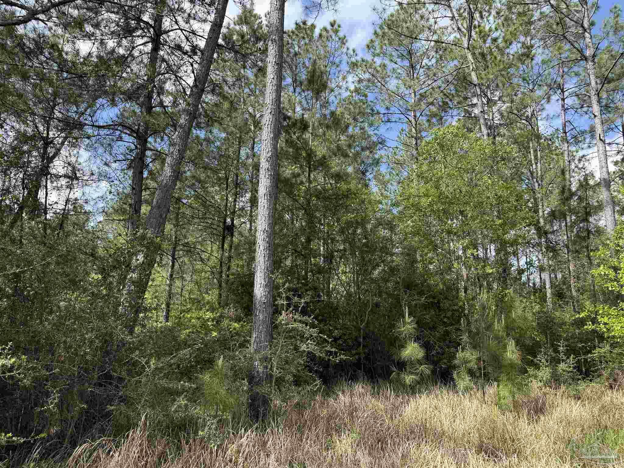 8200 Grimes Road Century, FL 32535 - Photo 16 of 18