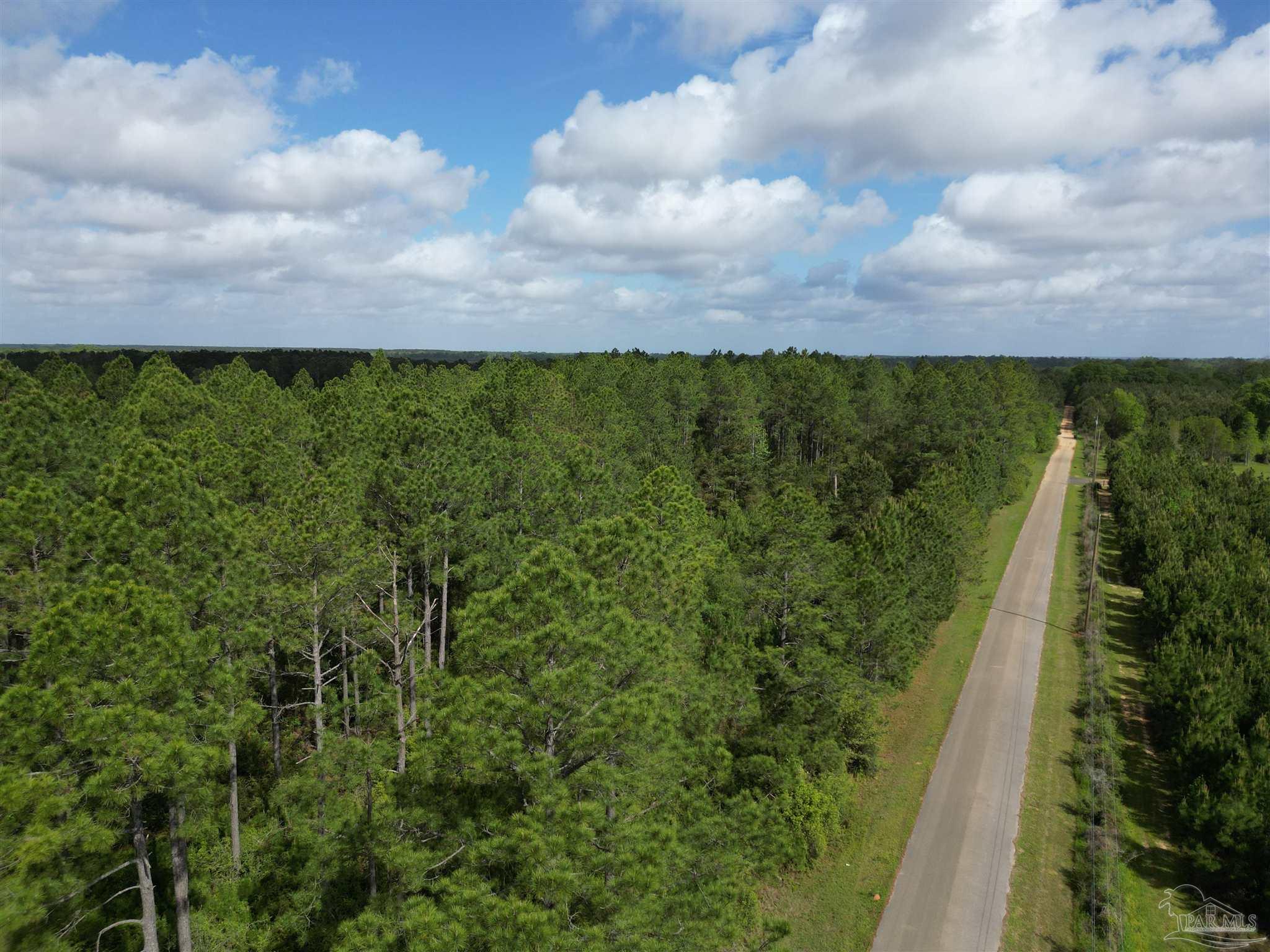 8200 Grimes Road Century, FL 32535 - Photo 3 of 18