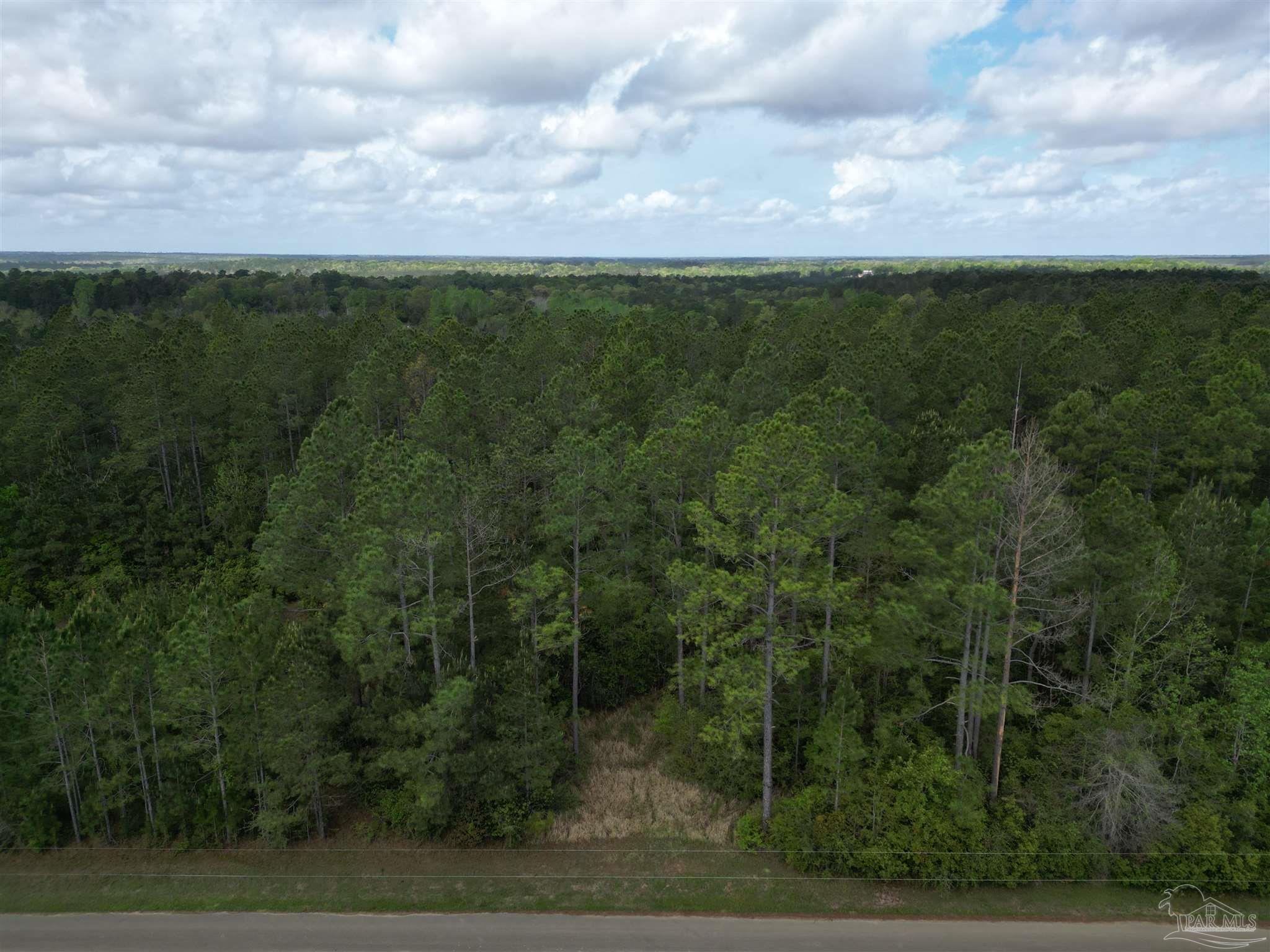 8200 Grimes Road Century, FL 32535 - Photo 4 of 18