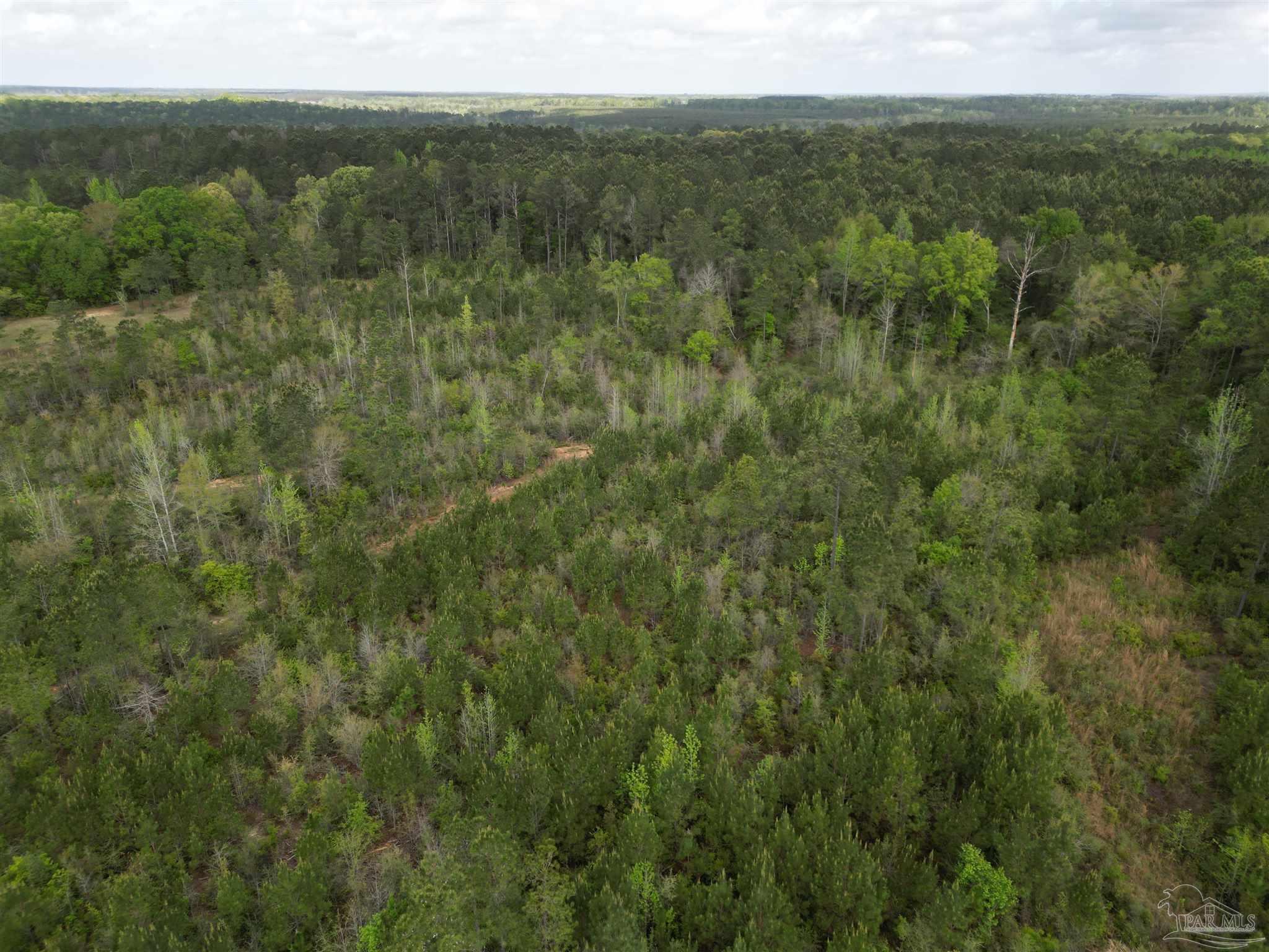 8200 Grimes Road Century, FL 32535 - Photo 5 of 18