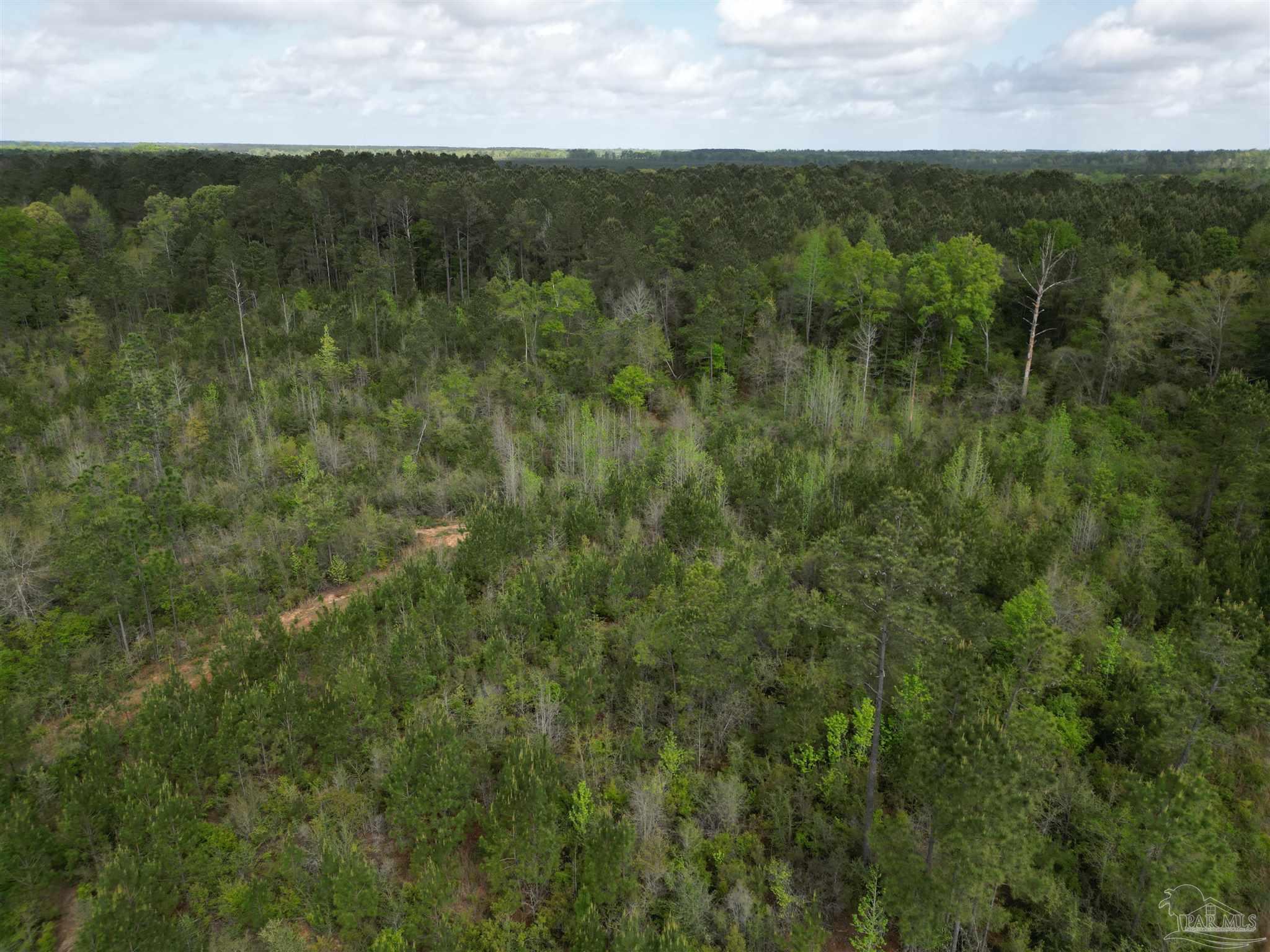 8200 Grimes Road Century, FL 32535 - Photo 6 of 18