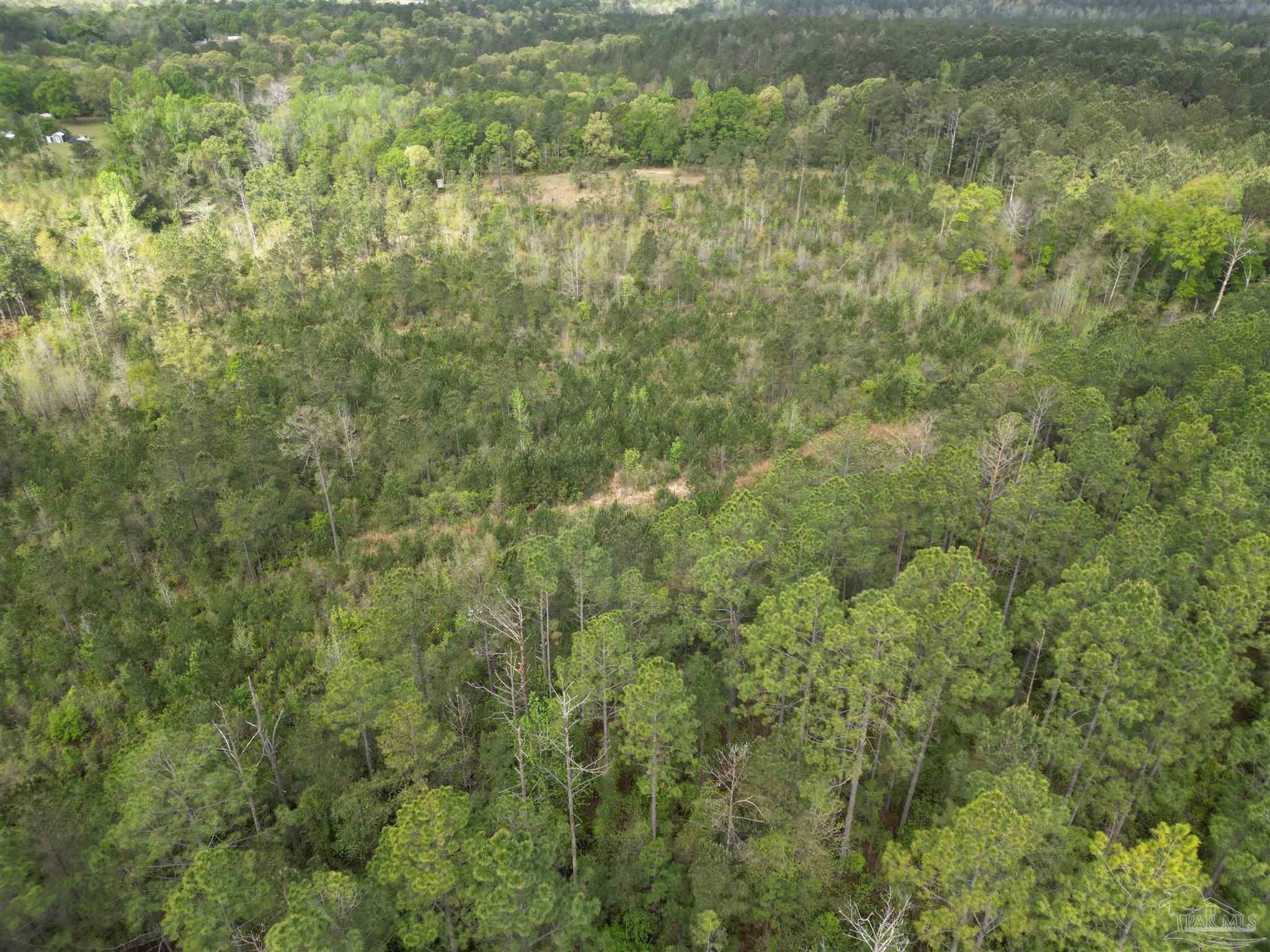 8200 Grimes Road Century, FL 32535 - Photo 7 of 18