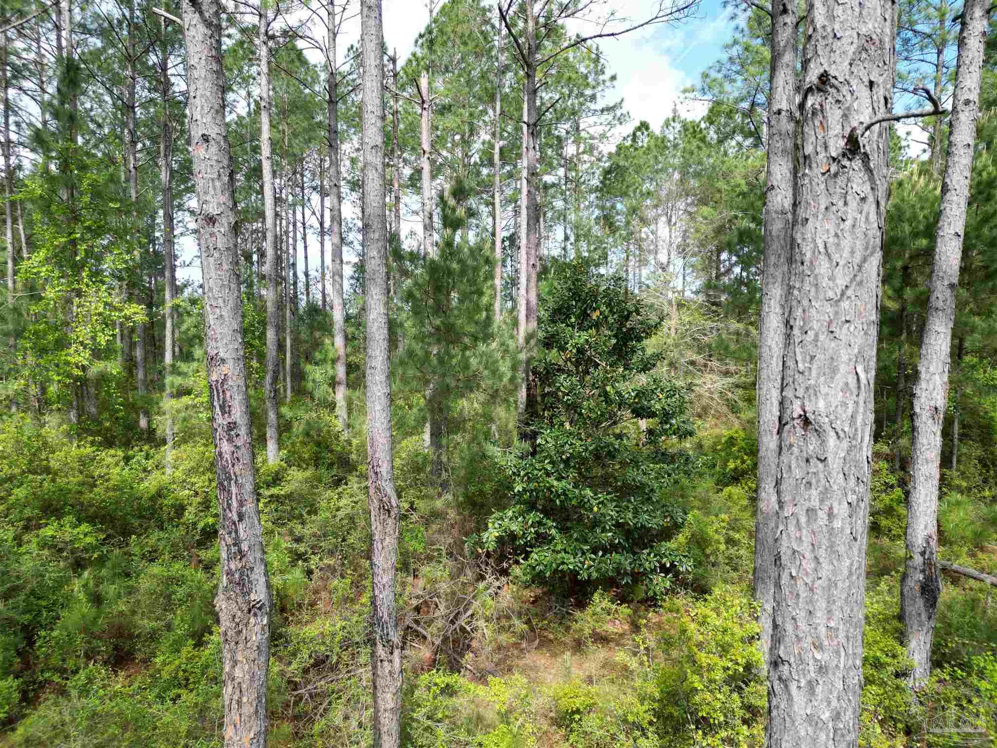 8200 Grimes Road Century, FL 32535 - Photo 8 of 18