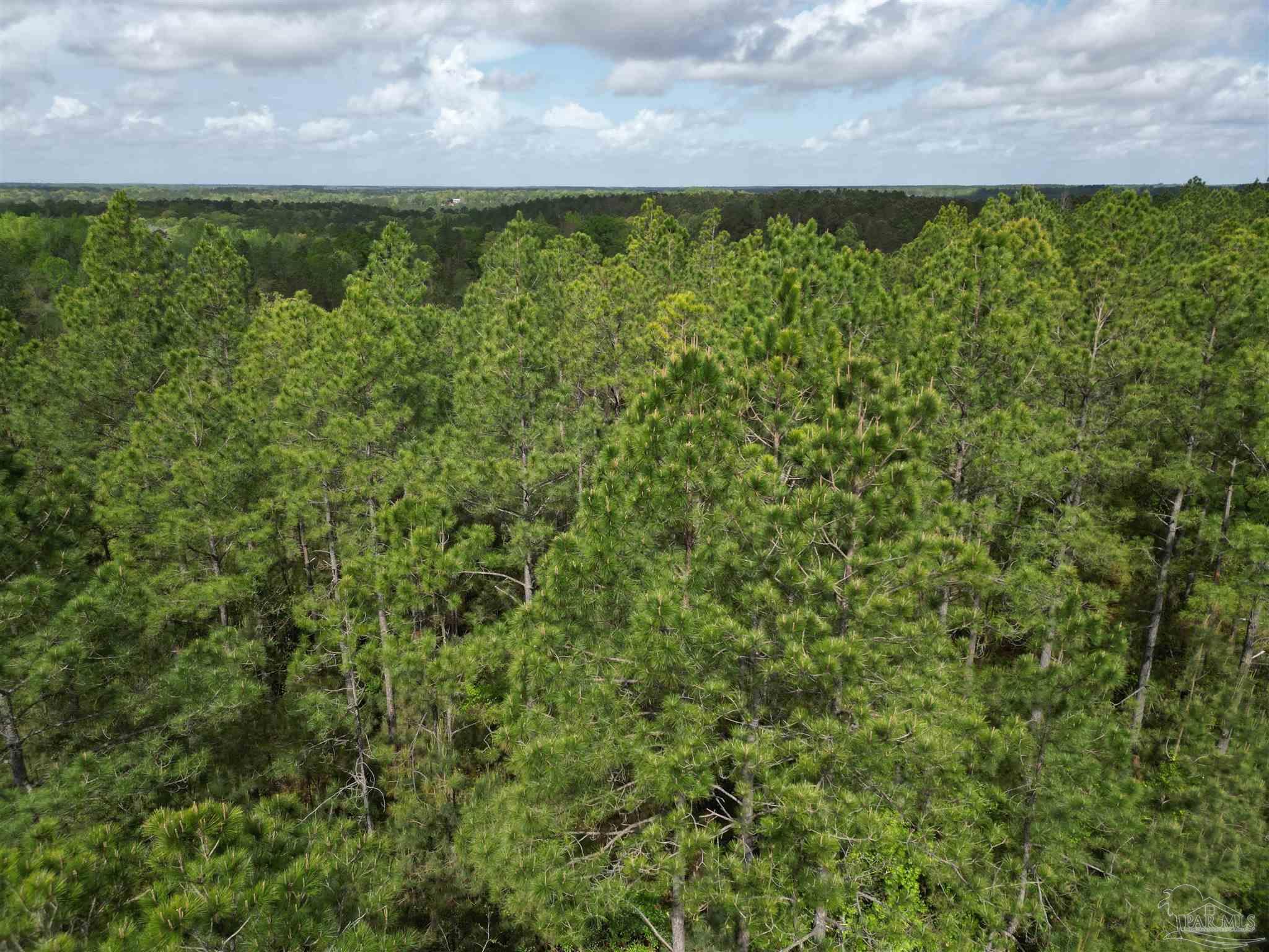 8200 Grimes Road Century, FL 32535 - Photo 9 of 18