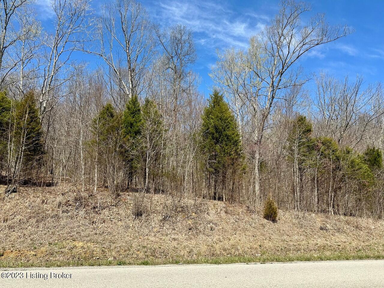 5970 Rabbit Flat Road Caneyville, KY 42721 - Photo 4 of 15 14.6 Acres2