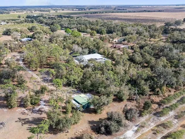a view of a big yard with lots of trees