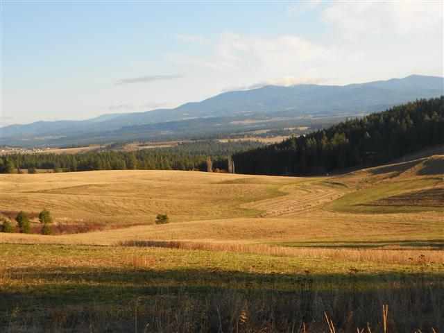 16333 North Dalton Road Spokane, WA 99208 - Photo 1 of 11