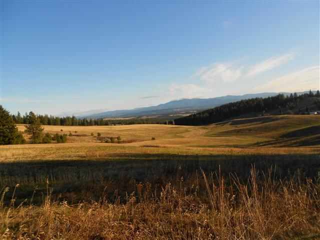 16333 North Dalton Road Spokane, WA 99208 - Photo 3 of 11