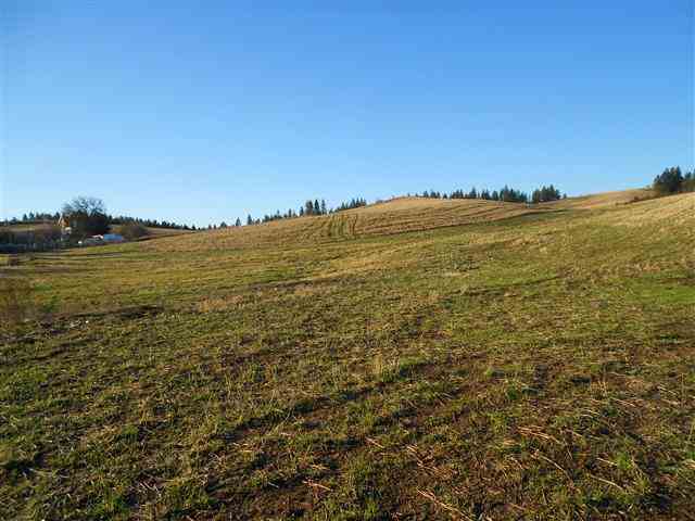 16333 North Dalton Road Spokane, WA 99208 - Photo 5 of 11