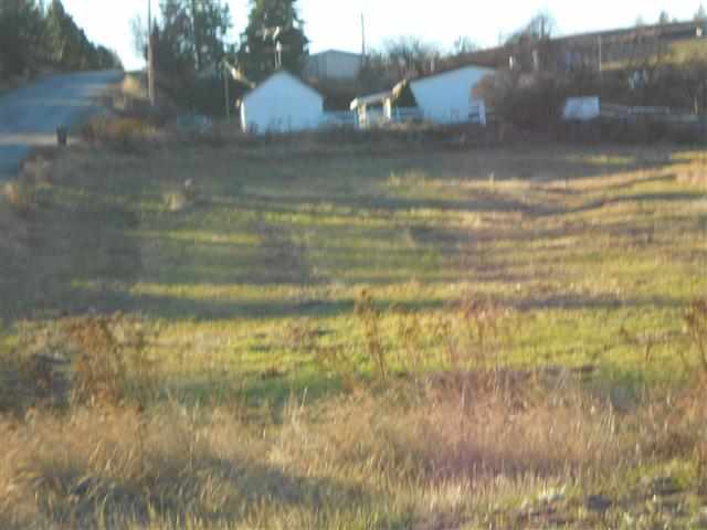 16333 North Dalton Road Spokane, WA 99208 - Photo 6 of 11