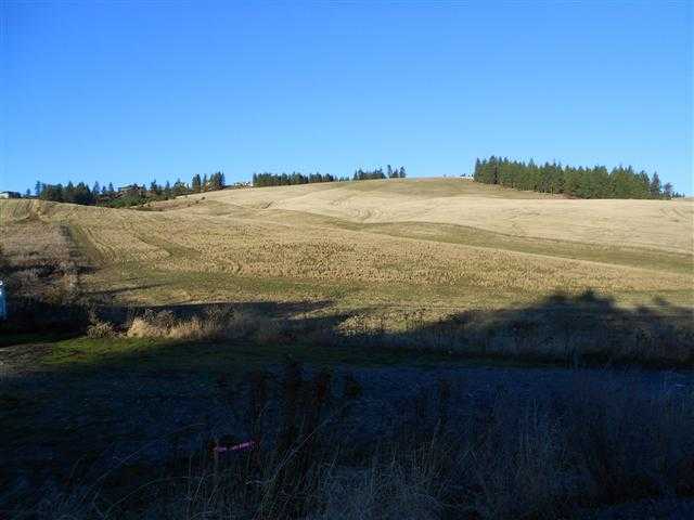 16333 North Dalton Road Spokane, WA 99208 - Photo 8 of 11
