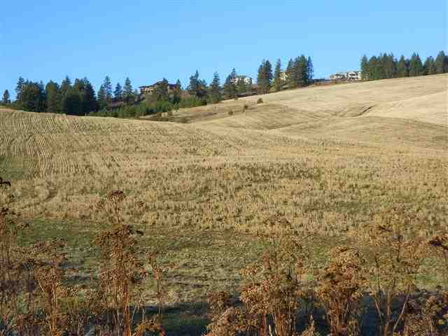 16333 North Dalton Road Spokane, WA 99208 - Photo 9 of 11