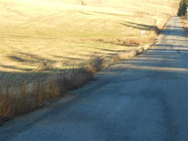 16333 North Dalton Road Spokane, WA 99208 - Photo 10 of 11