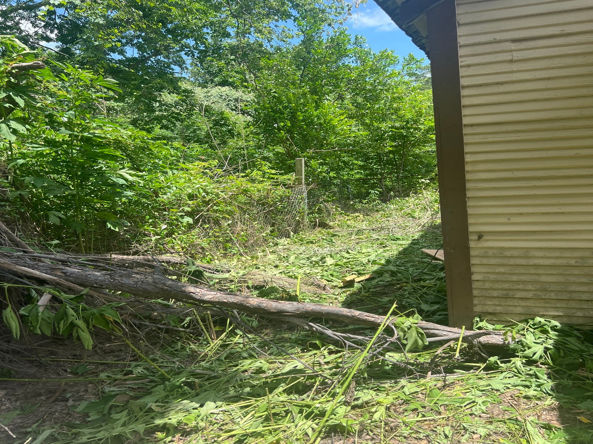 611 Danover Road Katy, TX 77494 - Photo 1 of 22 a view of swimming pool from a window