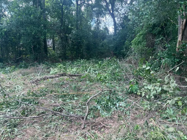 a backyard of a house with lots of green space