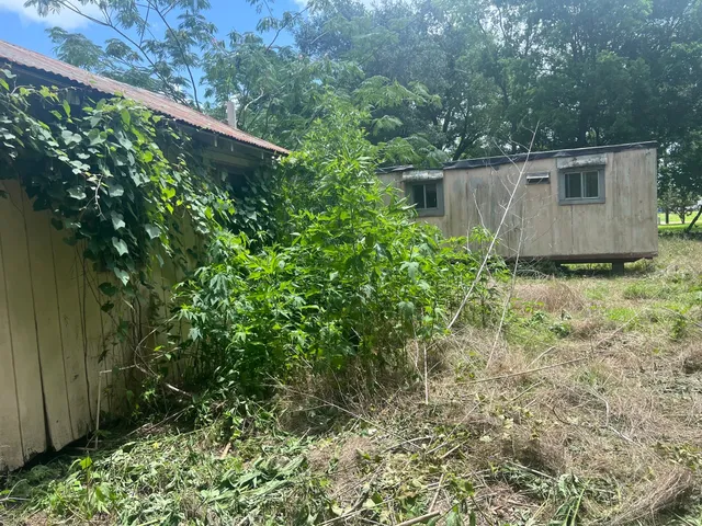 a view of backyard with wooden fence