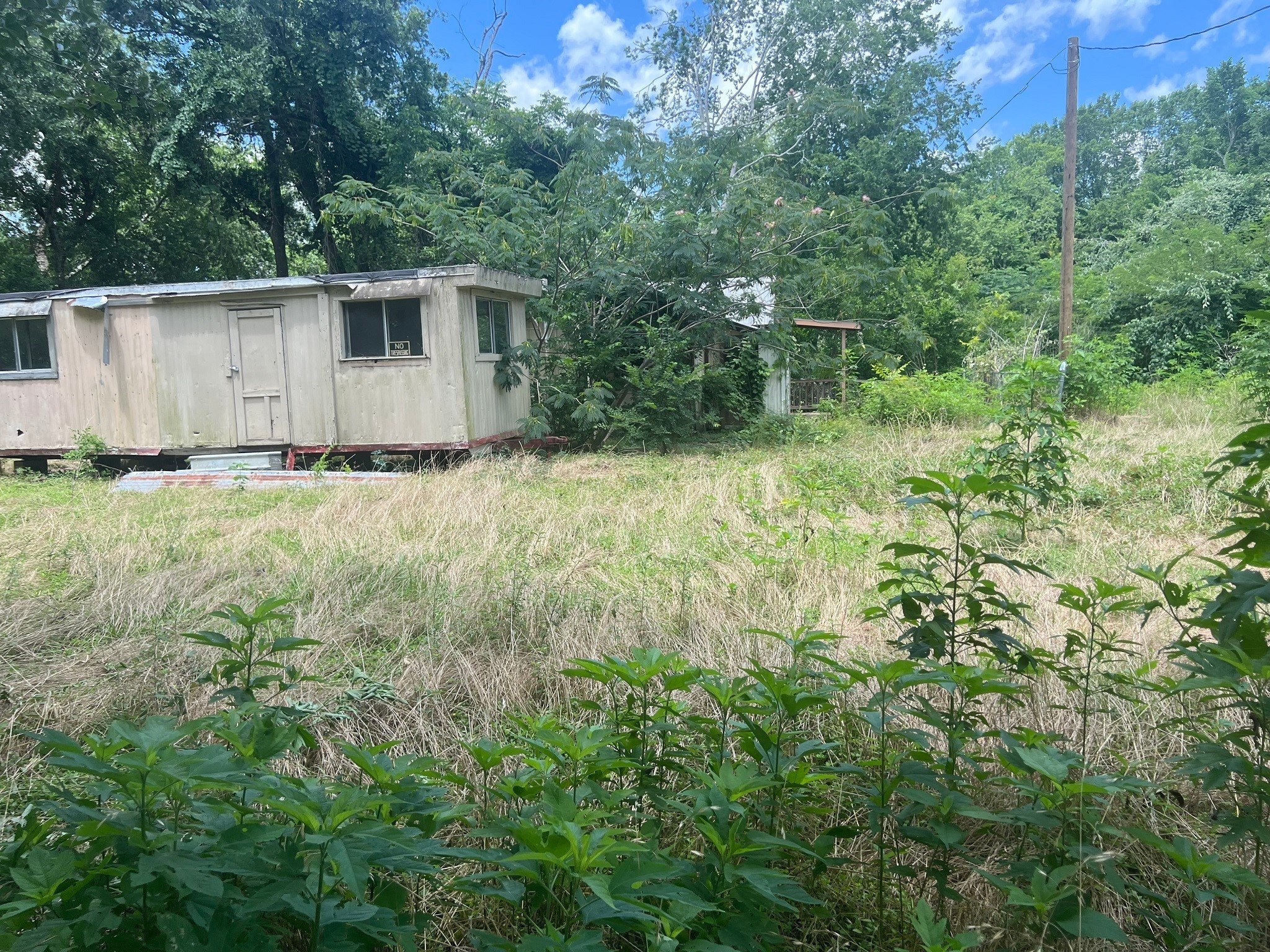 611 Danover Road Katy, TX 77494 - Photo 19 of 22 a view of a backyard with large trees