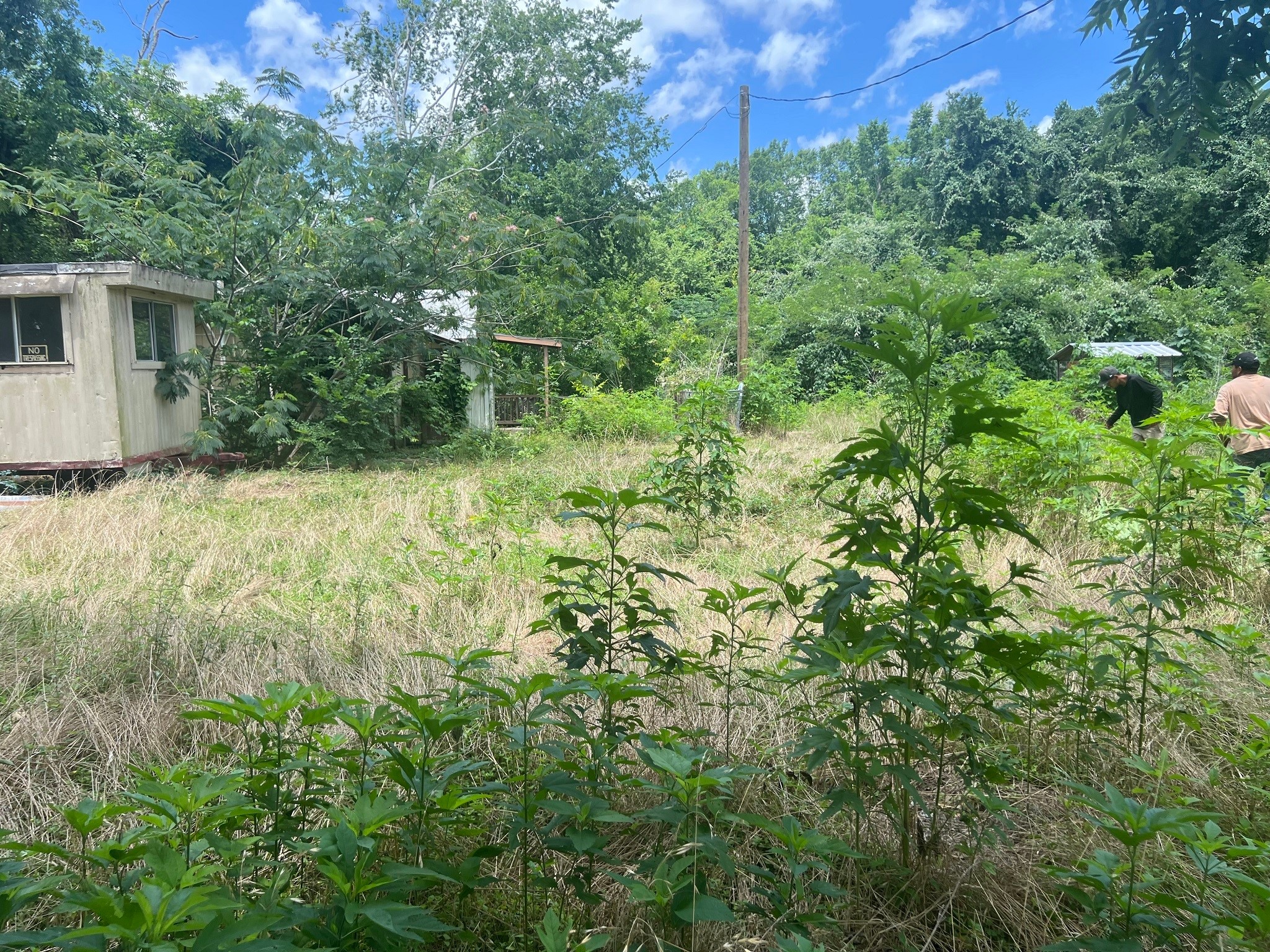 611 Danover Road Katy, TX 77494 - Photo 20 of 22 a view of a backyard of the house