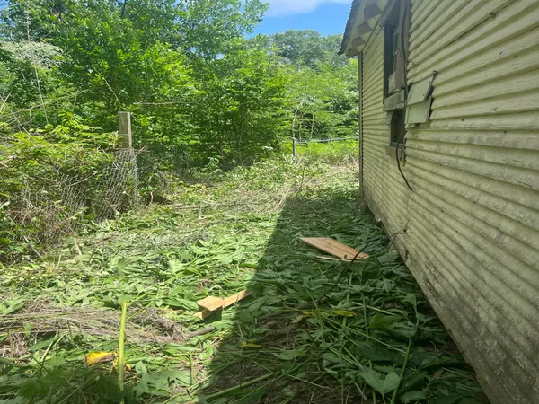 a view of a garden