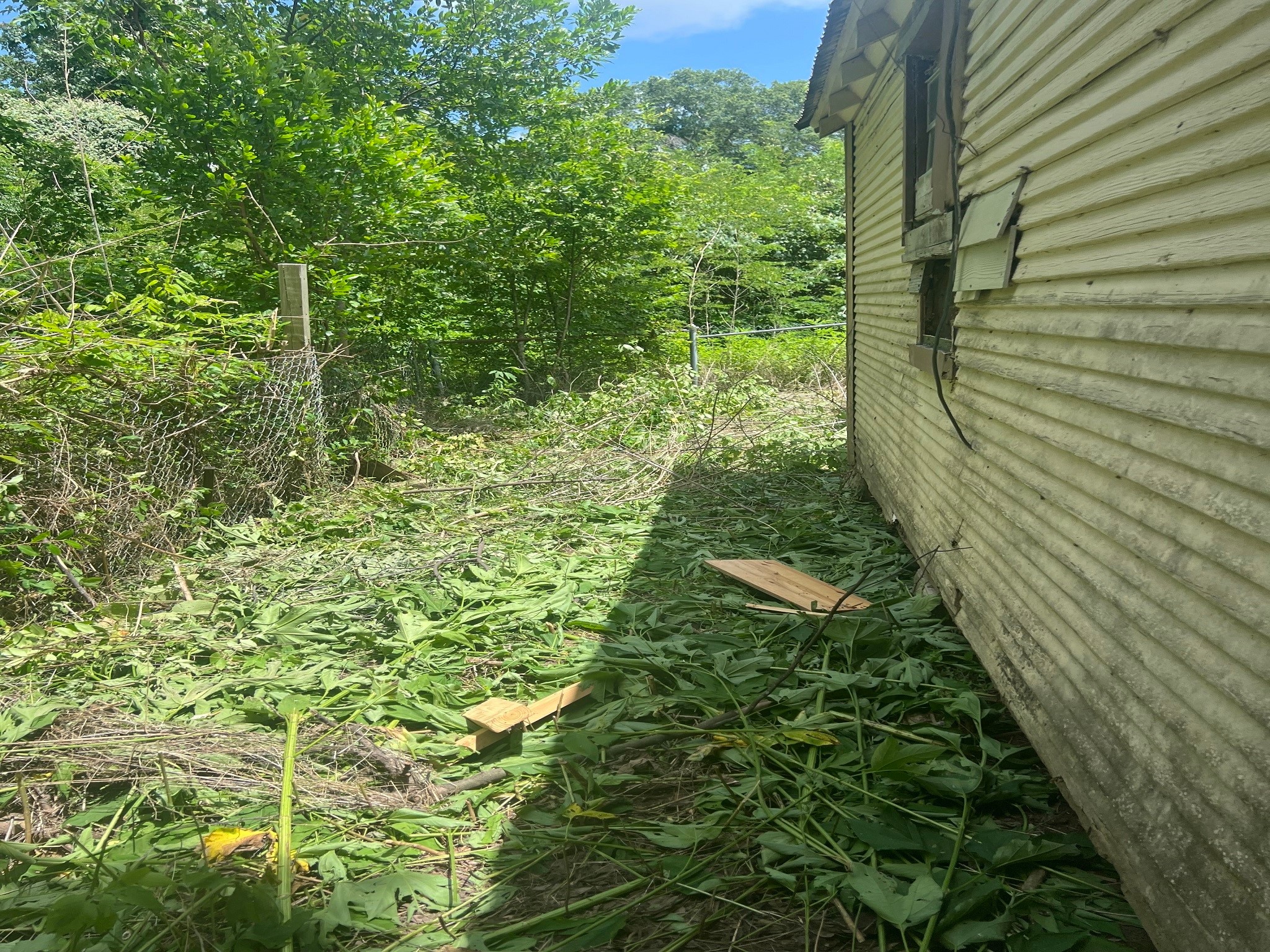 611 Danover Road Katy, TX 77494 - Photo 2 of 22 a view of a garden