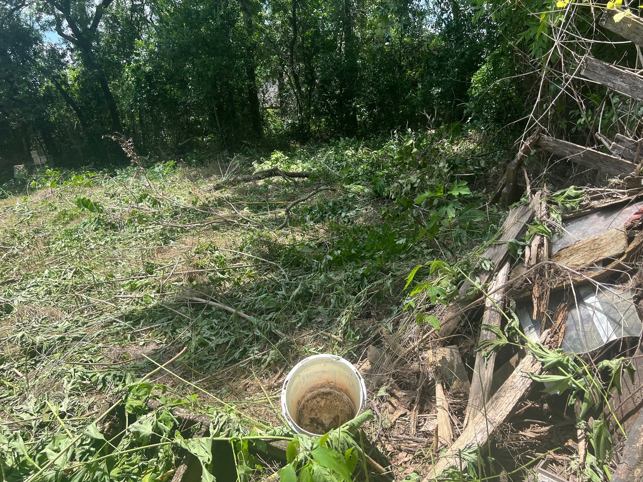 611 Danover Road Katy, TX 77494 - Photo 3 of 22 a backyard of a house with lots of green space