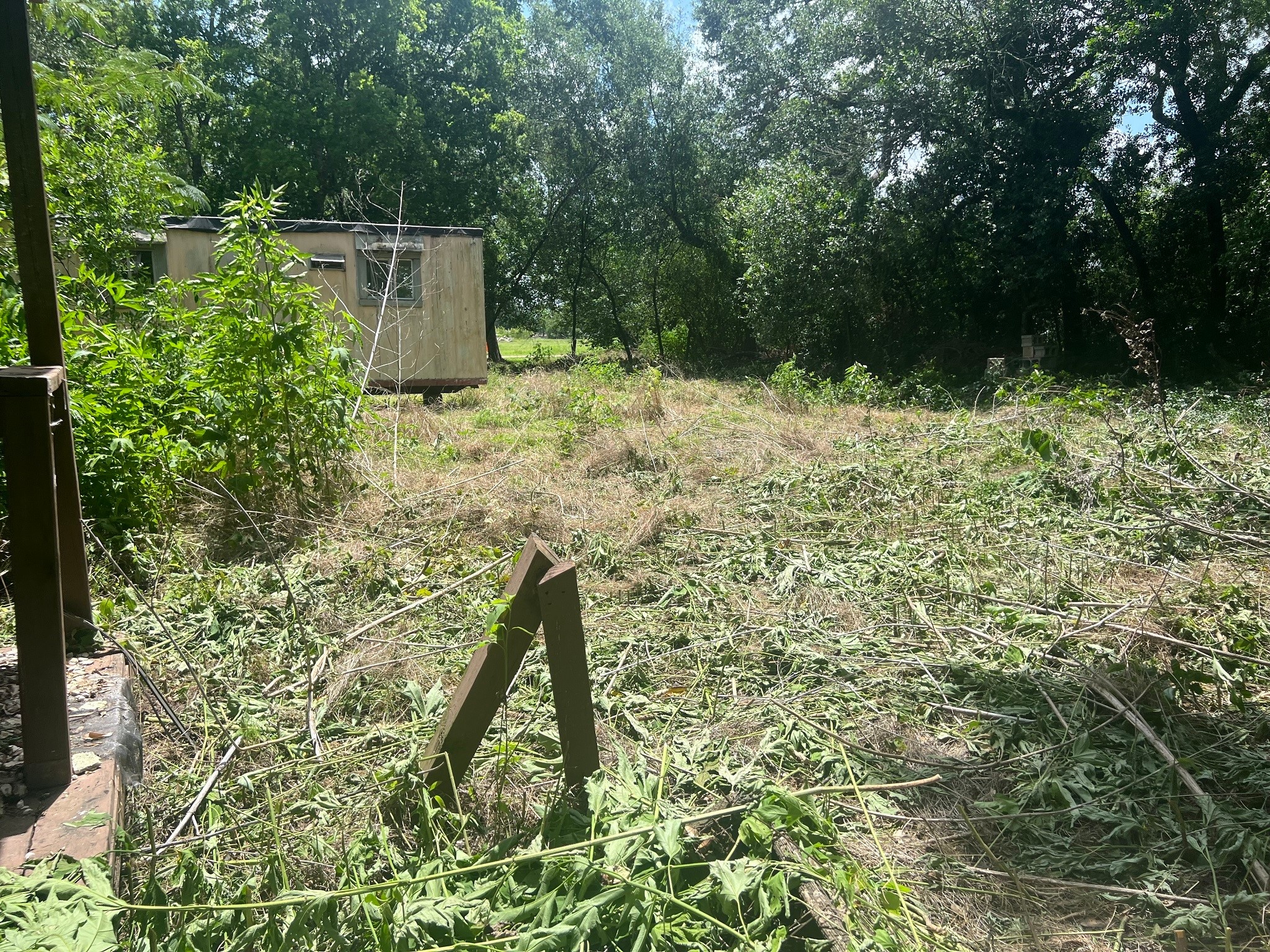 611 Danover Road Katy, TX 77494 - Photo 4 of 22 a backyard of a house with lots of green space