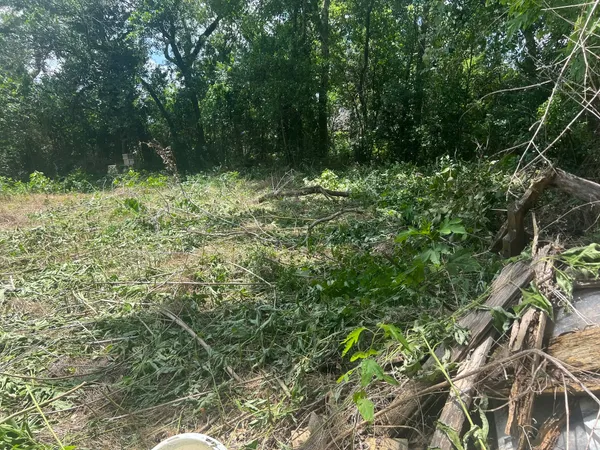 a view of outdoor space and a yard