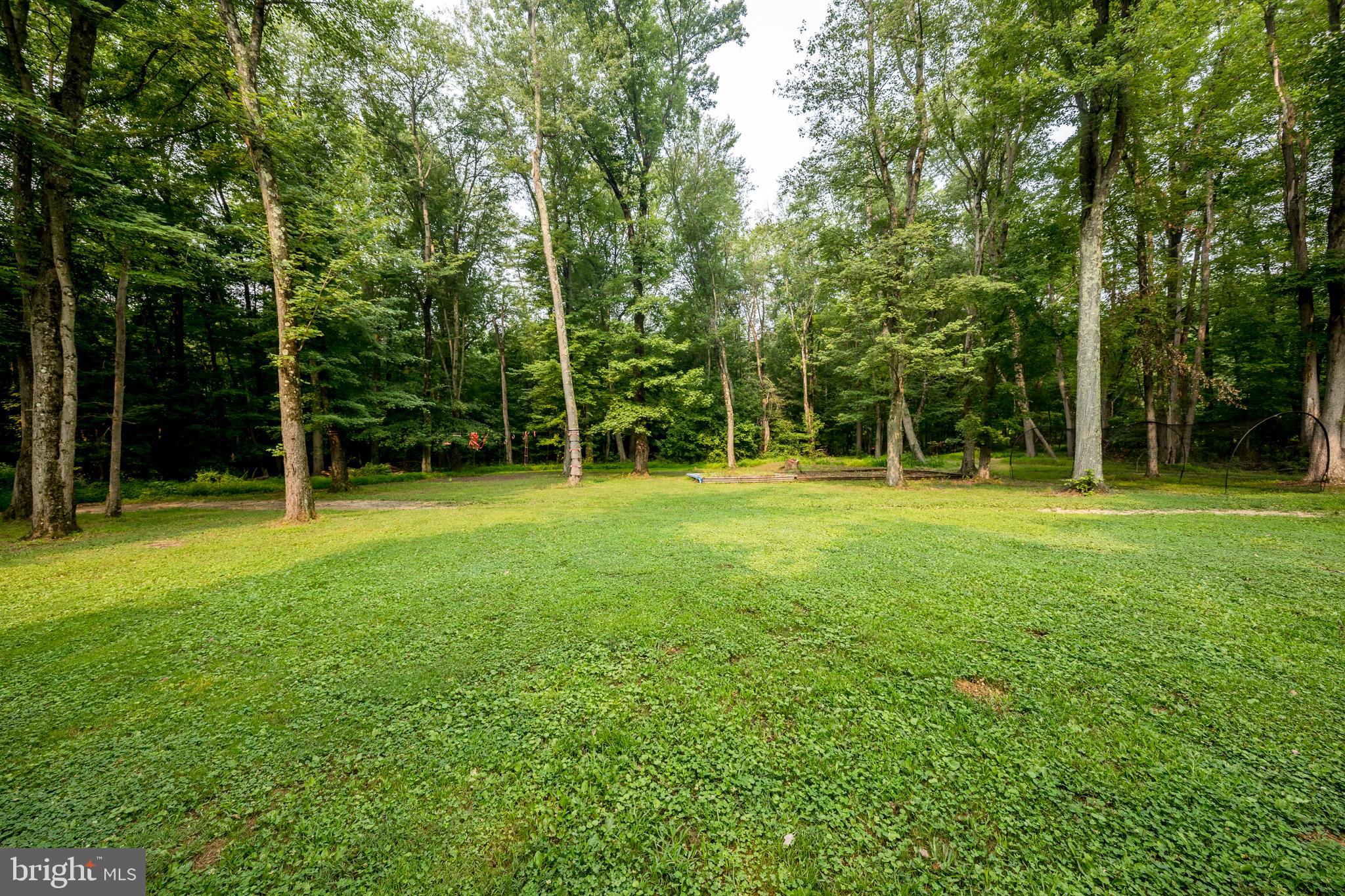 839 Red Toad Road North East, MD 21901 - Photo 43 of 45 Rear Yard
