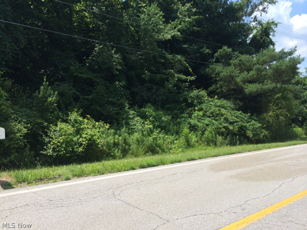 Lyntz Road Warren, OH 44481 - Photo 3 of 3