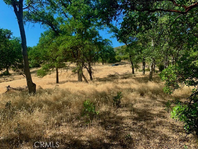 10455 Sky High Ridge Road Lower Lake, CA 95457 - Photo 13 of 17 Gallery Image 13