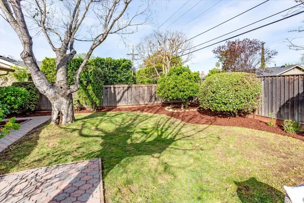 a view of yard with large trees and plants