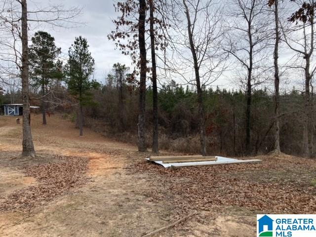 3795 Little Hope Road Centreville, AL 35042 - Photo 6 of 8