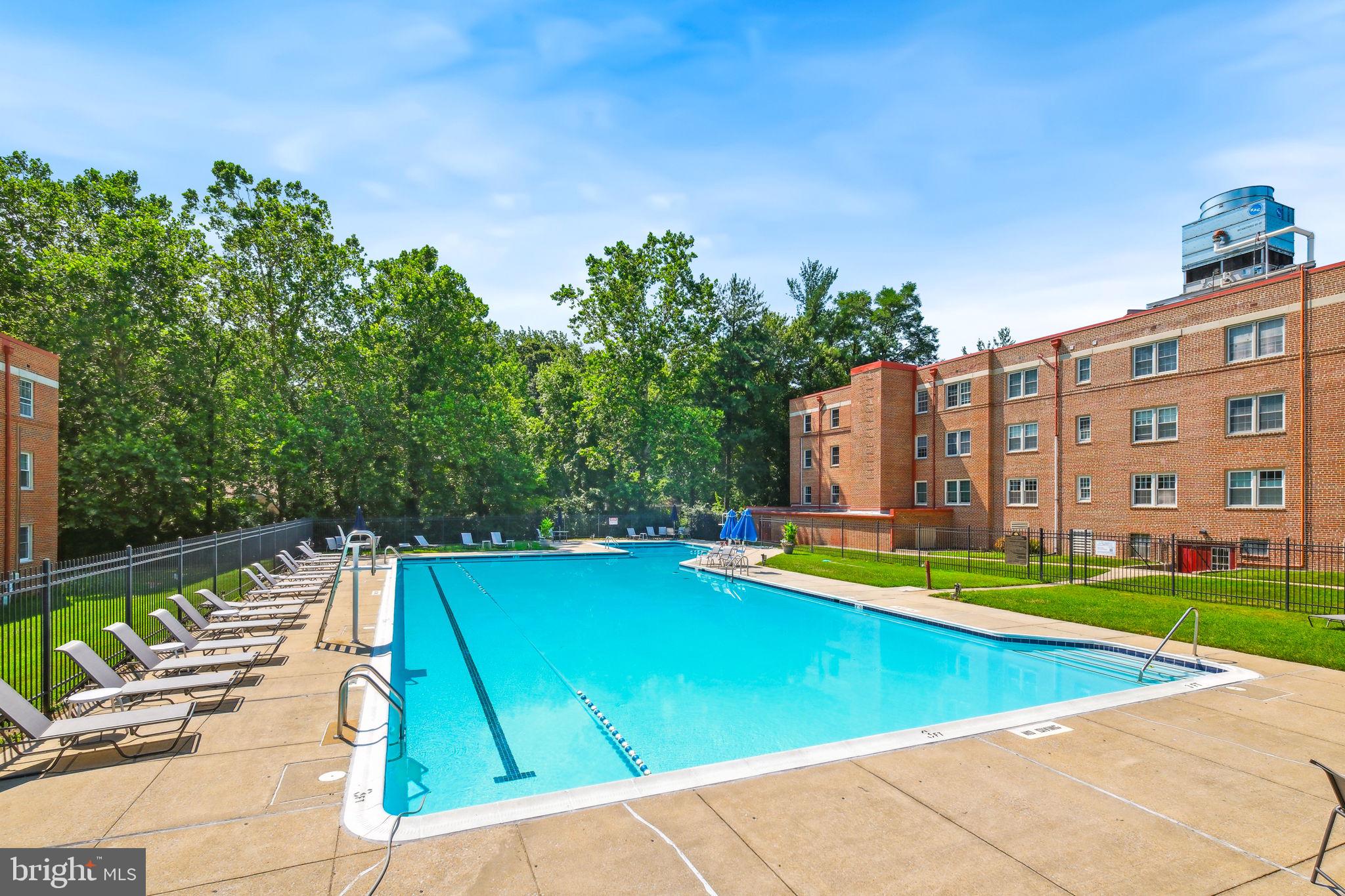 8203 Grubb Road, Unit 201 Silver Spring, MD 20910 - Photo 21 of 26 a view of swimming pool with lawn chairs and plants