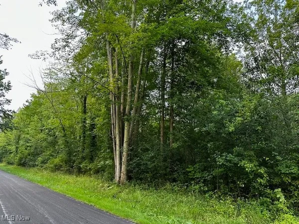 $9,900 | Highland Avenue, Ashtabula, OH 44004