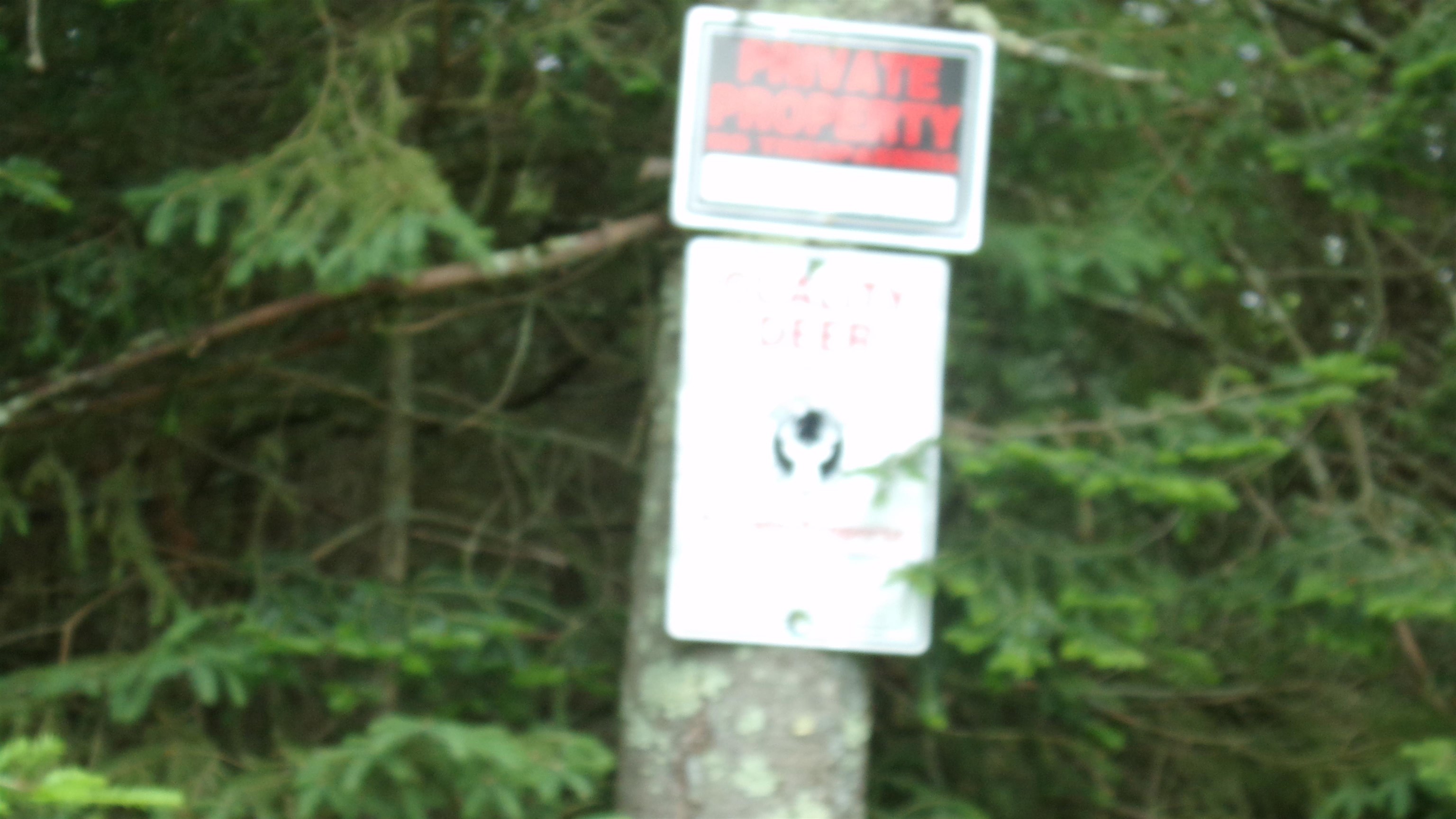 W16252 Butternut Road Antigo, WI 54409 - Photo 11 of 14