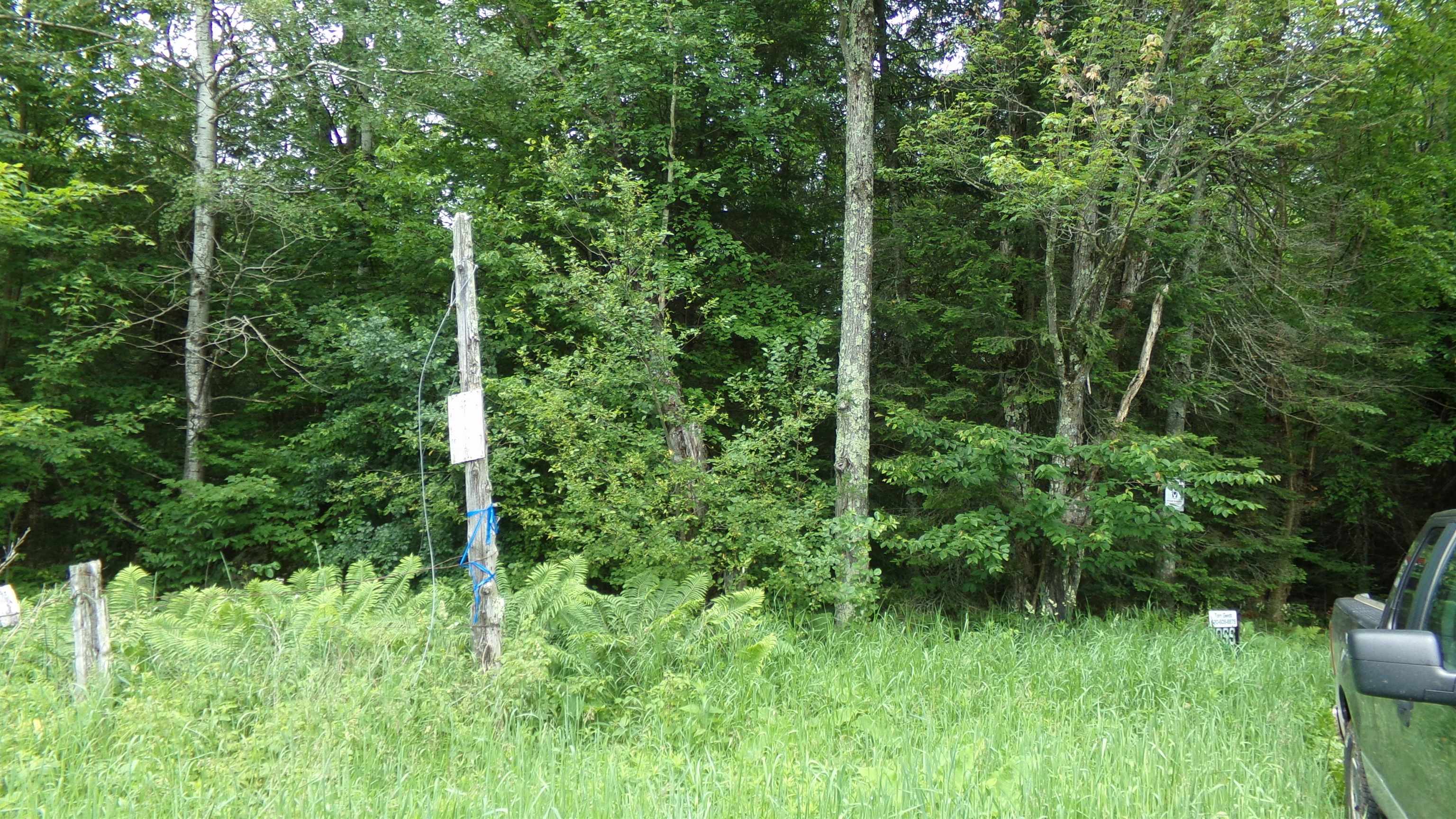 W16252 Butternut Road Antigo, WI 54409 - Photo 13 of 14