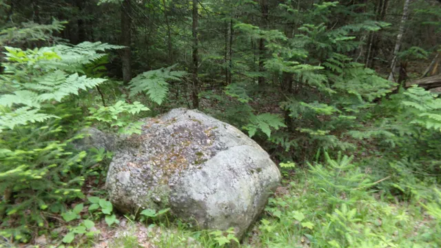 $129,950 | W16252 Butternut Road, Antigo, WI 54409