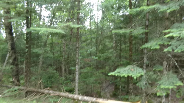 $129,950 | W16252 Butternut Road, Antigo, WI 54409