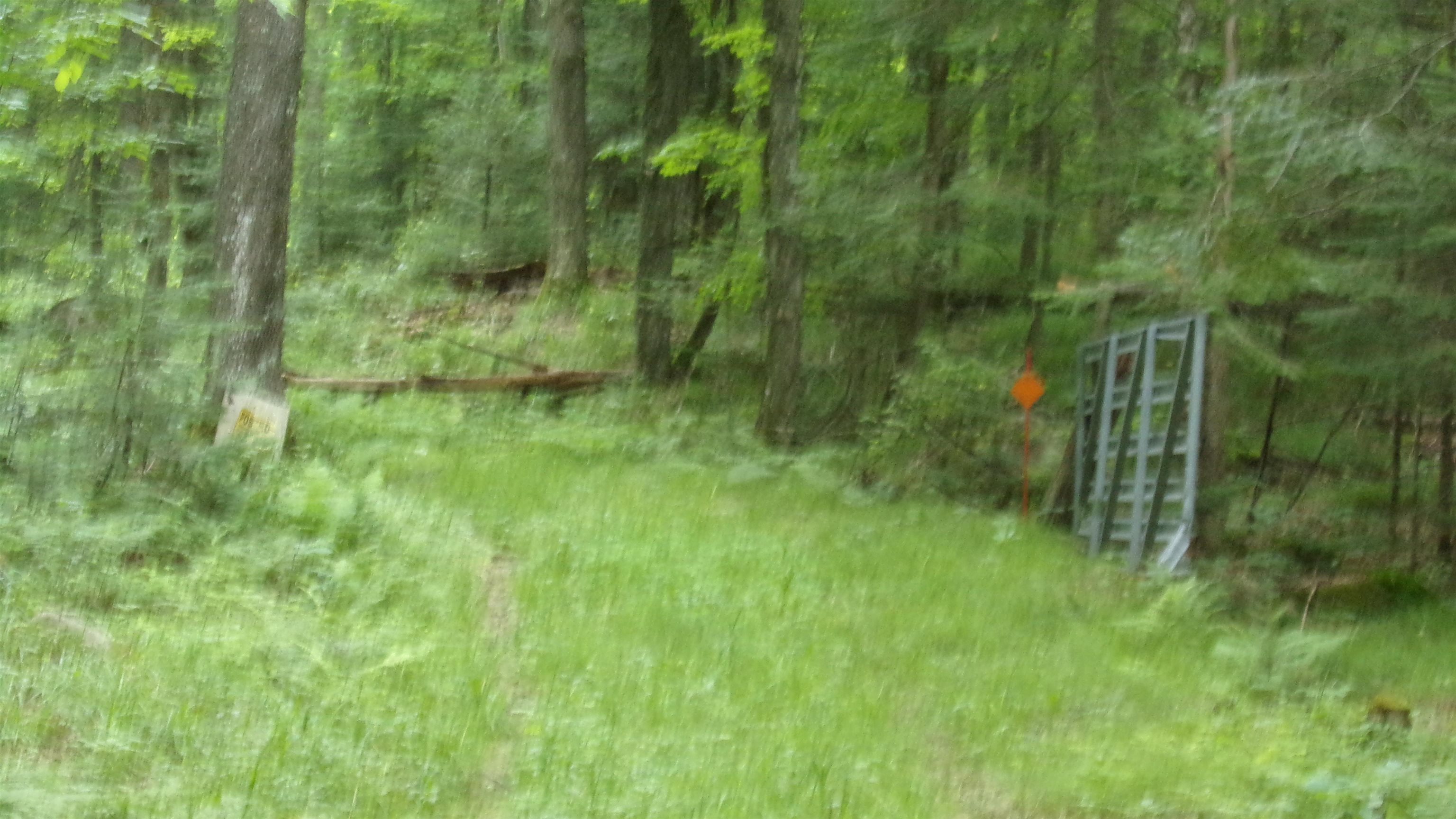 W16252 Butternut Road Antigo, WI 54409 - Photo 4 of 14