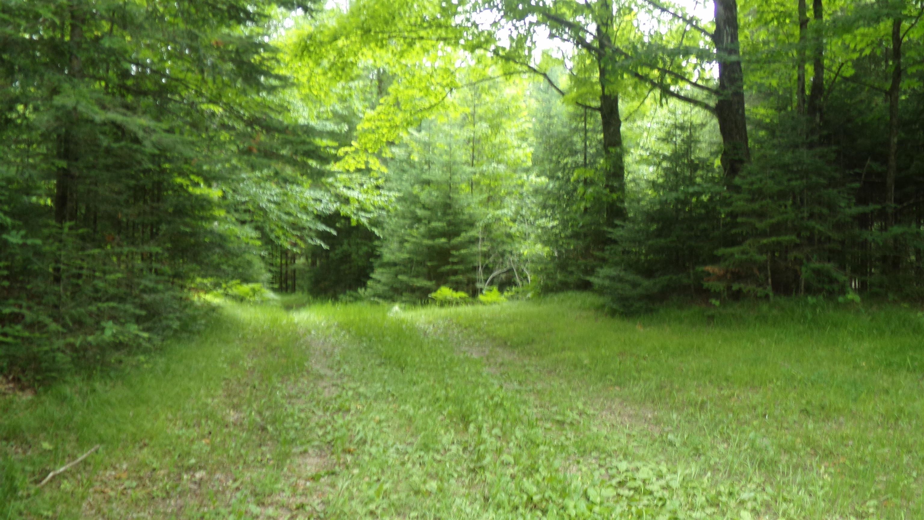 W16252 Butternut Road Antigo, WI 54409 - Photo 7 of 14