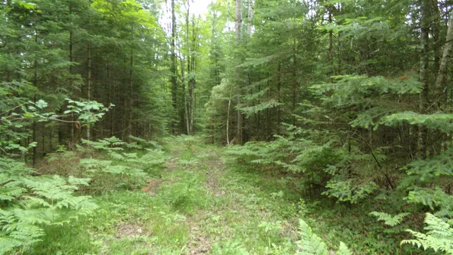 $129,950 | W16252 Butternut Road, Antigo, WI 54409