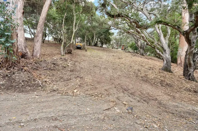 a backyard of a house with lots of green space