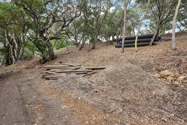 a view of backyard with table and chairs