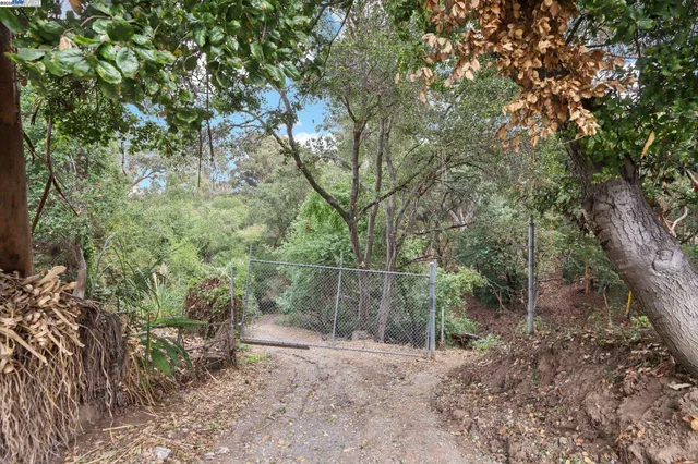 a view of a yard with a tree