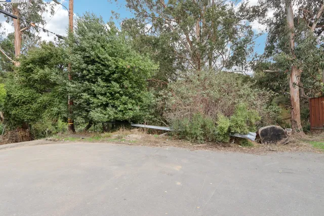 a view of a yard with a tree