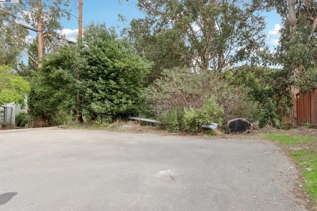a view of a field with plants and trees