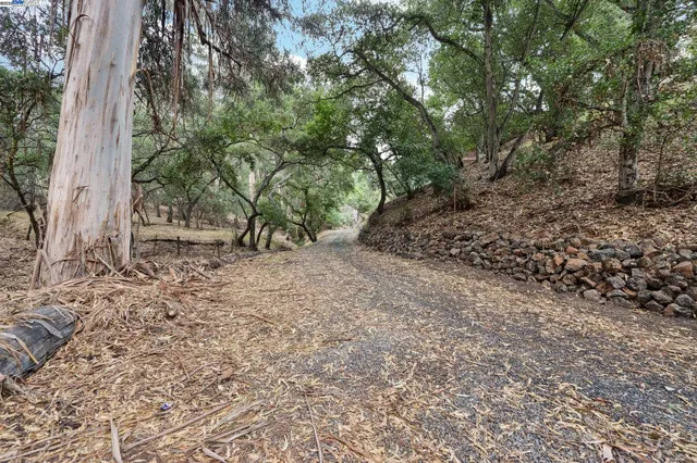a view of outdoor space and yard